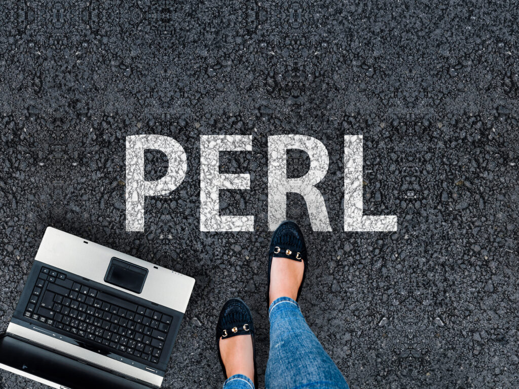 Perl's speed and flexibility allow our engineers to innovate by giving them more time to think creatively about growing our business.
